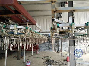 全自动鸡鸭鹅屠宰设备简介