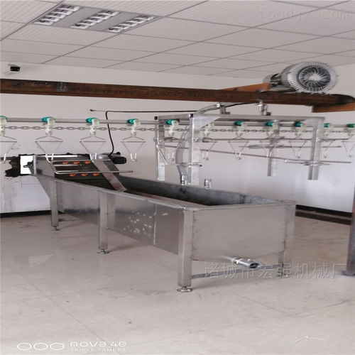 中大型杀鸭屠宰流水线 现代化禽类加工的核心装备