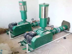 专业领域双星 深度解析越洋环保在屠宰与养殖污水处理设备领域的卓越贡献